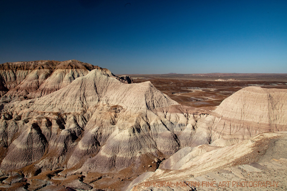 Petrified Forest Painted Desert Photograph 1449 New Mexico Photography Koral Martin Fine Art Photography