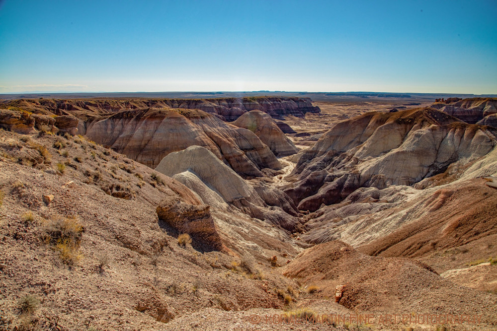 Petrified Forest Painted Desert Photograph 1442 New Mexico Photography Koral Martin Fine Art Photography