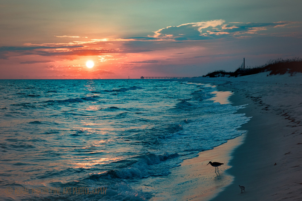 Sunset Bird on Beach Photograph 1006 FL  | Florida Photography | Koral Martin Fine Art Photography