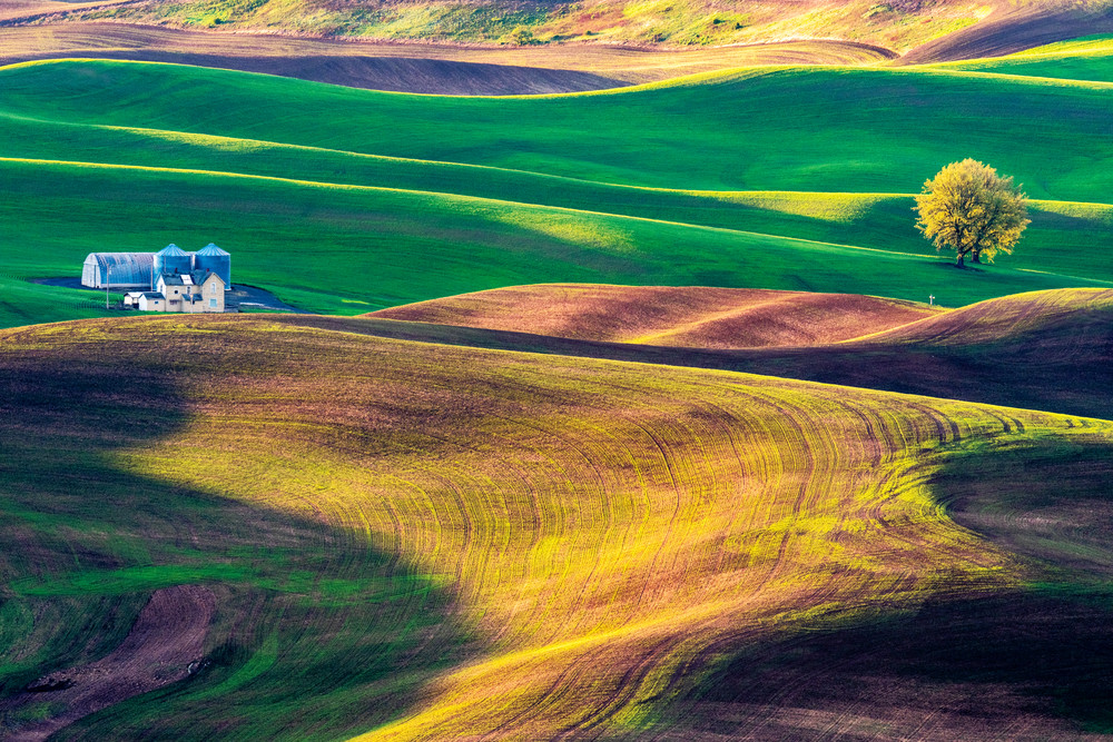 Palouse sunrise and a house on rolling hills