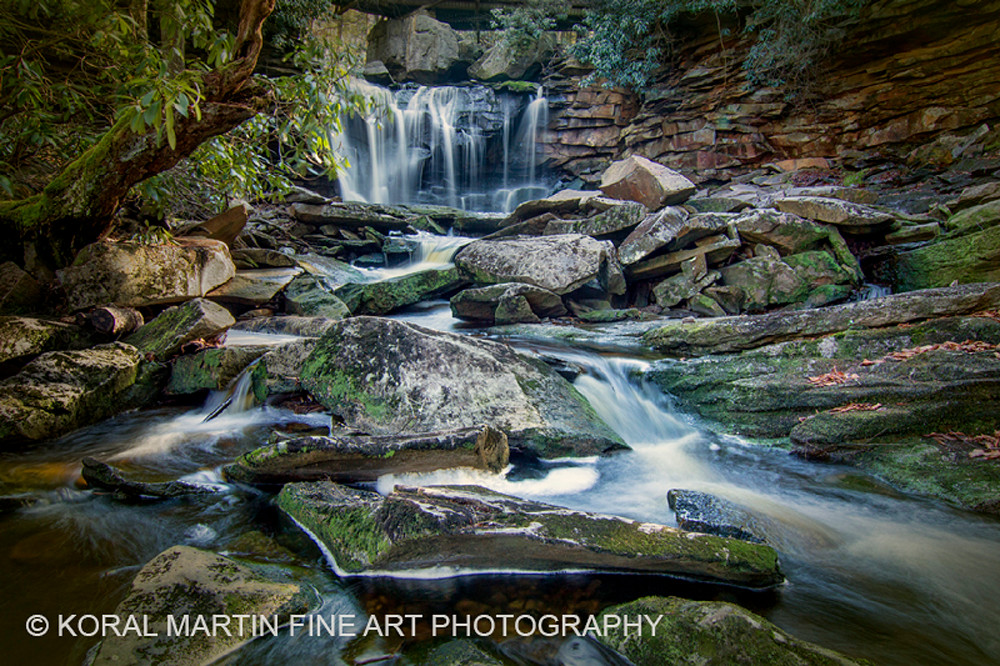 Elakala Falls Photograph 5305 West Virginia And Virginia