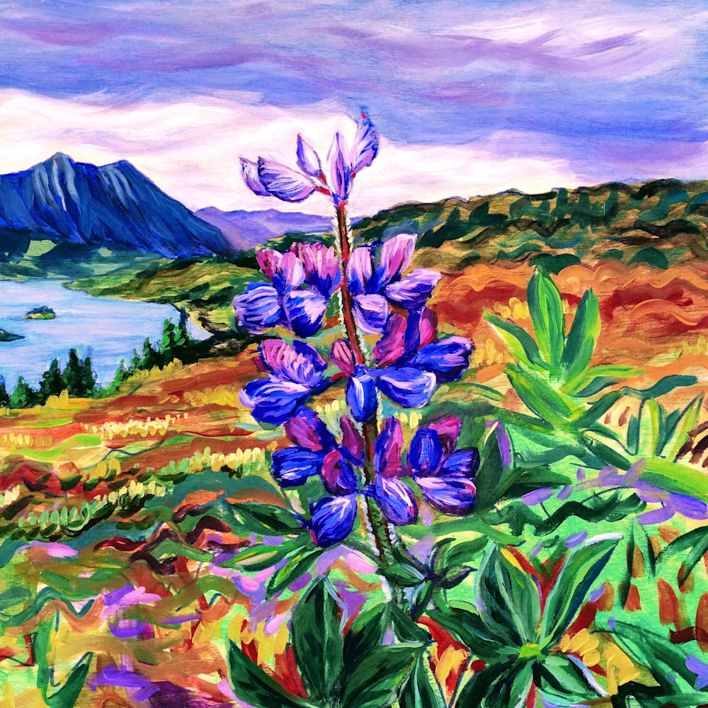 Lupine On Tundra Art | Amanda Faith Alaska Paintings
