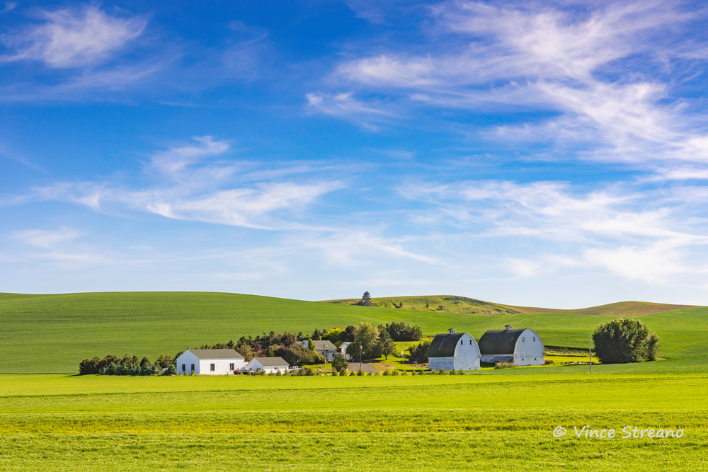 A farm scene on the Palouse in Washington state by photographer Vince Streano