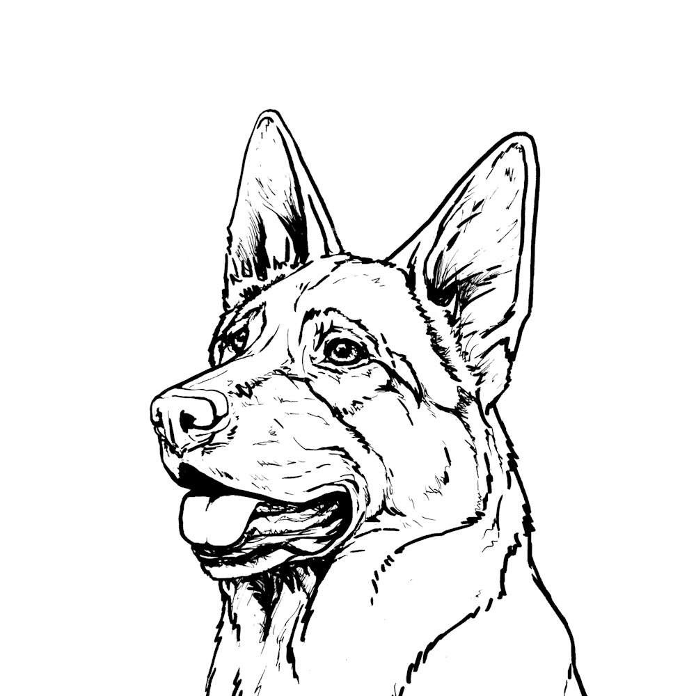 German Shepherd Dog Line Drawing Art