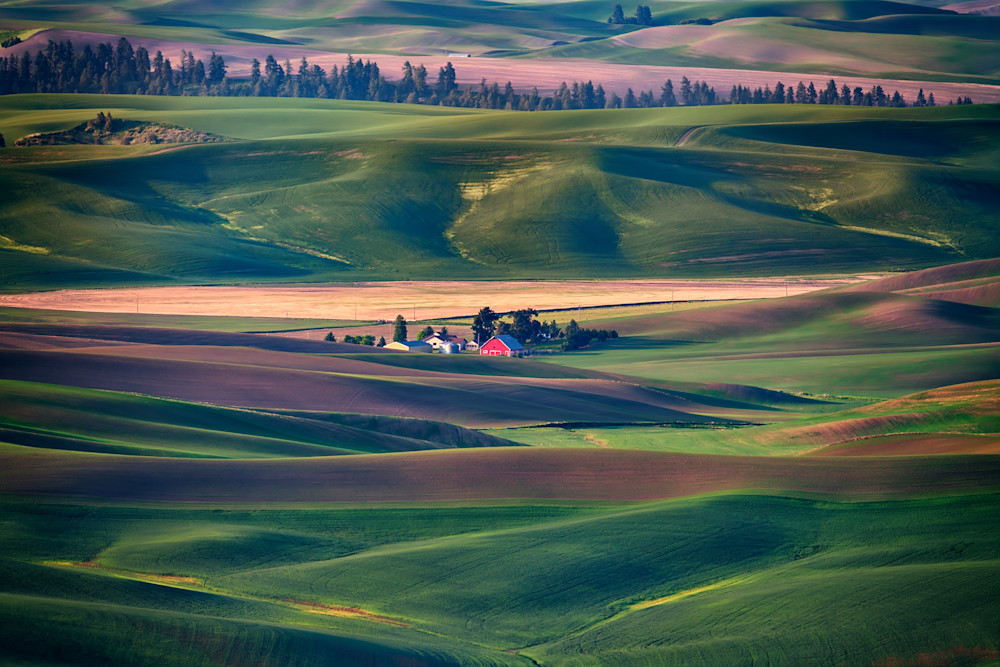 Nestled in the Hills by Rick Berk Nestled in the Hills by Rick Berk