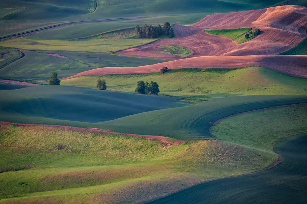 Early Morning in the Palouse by Rick Berk Early Morning in the Palouse by Rick Berk