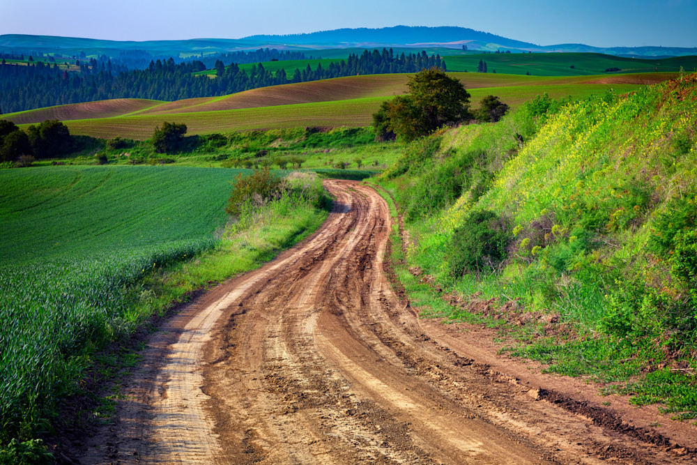 The Farm Road by Rick Berk The Farm Road by Rick Berk