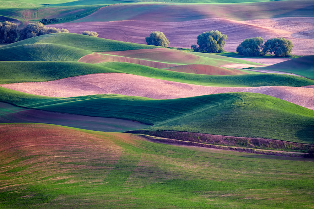 Rolling Hills of the Palouse by Rick Berk Rolling Hills of the Palouse by Rick Berk