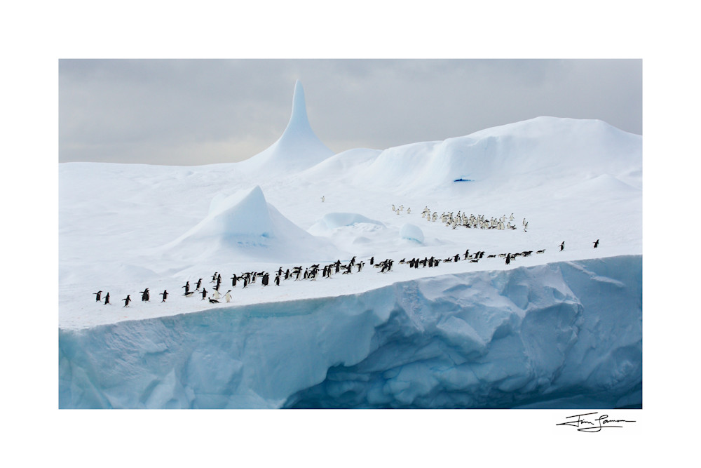 Photo of Adelie Penguins on an iceberg with a pinnacle formation.