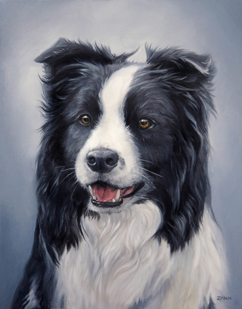Prints Of Border Collie Painted Portrait In Oil
