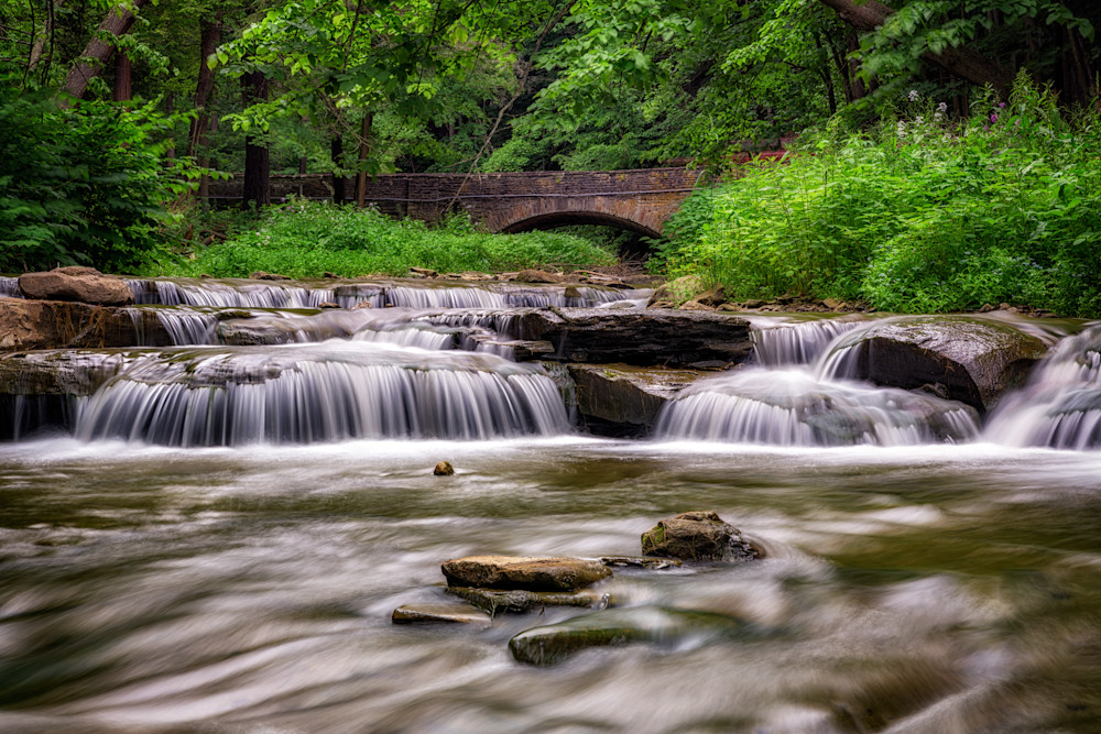 Spring Flow at Wolf Creek Spring Flow at Wolf Creek