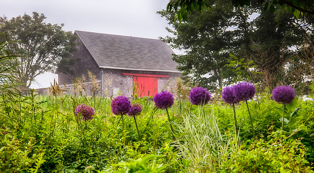 Kieth Farm Flowers And Fog Art | Michael Blanchard Inspirational Photography - Crossroads Gallery
