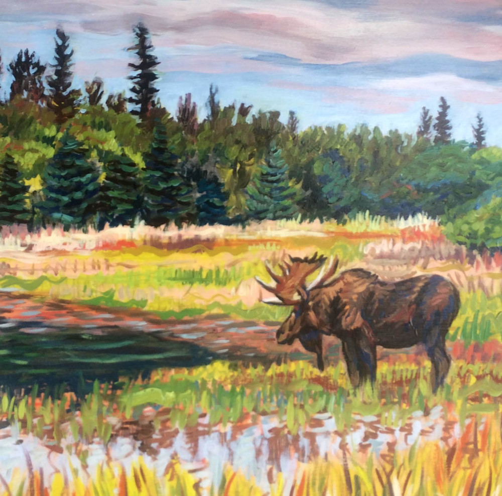 Bull Moose in Alaska Pond art print by Amanda Faith