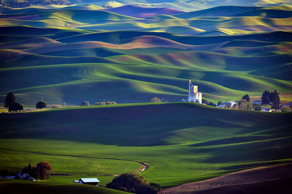 Whitman County Growers by Rick Berk Whitman County Growers by Rick Berk