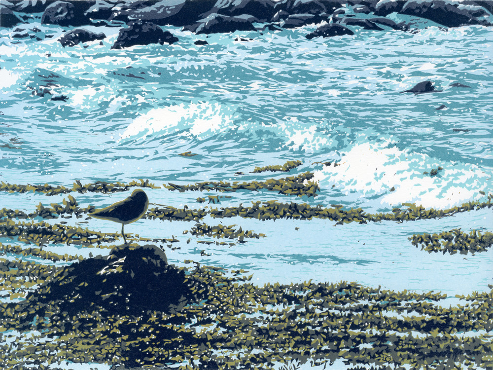 A lone plover rests on a rock by the ocean.