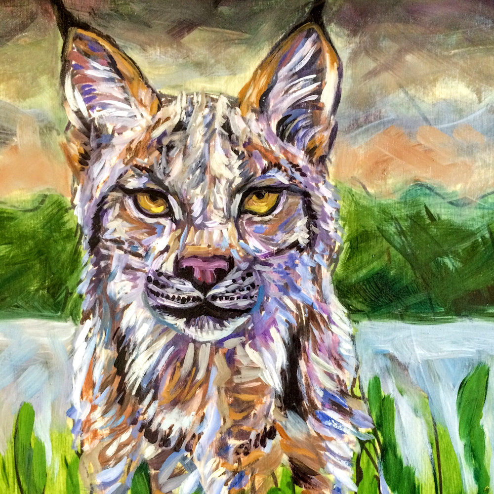 Alaska Lynx by Forest Art Print by Amanda Faith