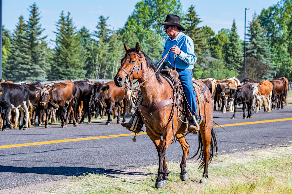 A Real Urban Cowboy Photography Art | Photographer David Wilson, LLC