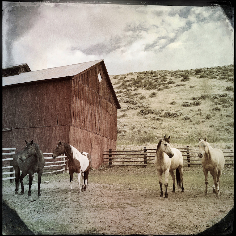 Horse Corral Horse Corral