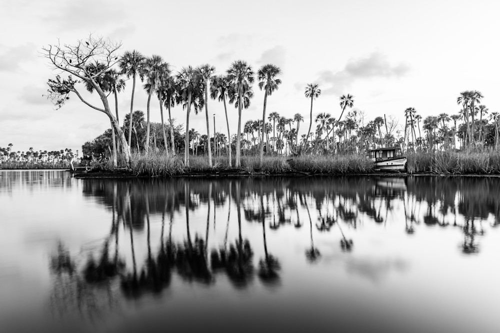 Evening Stillness