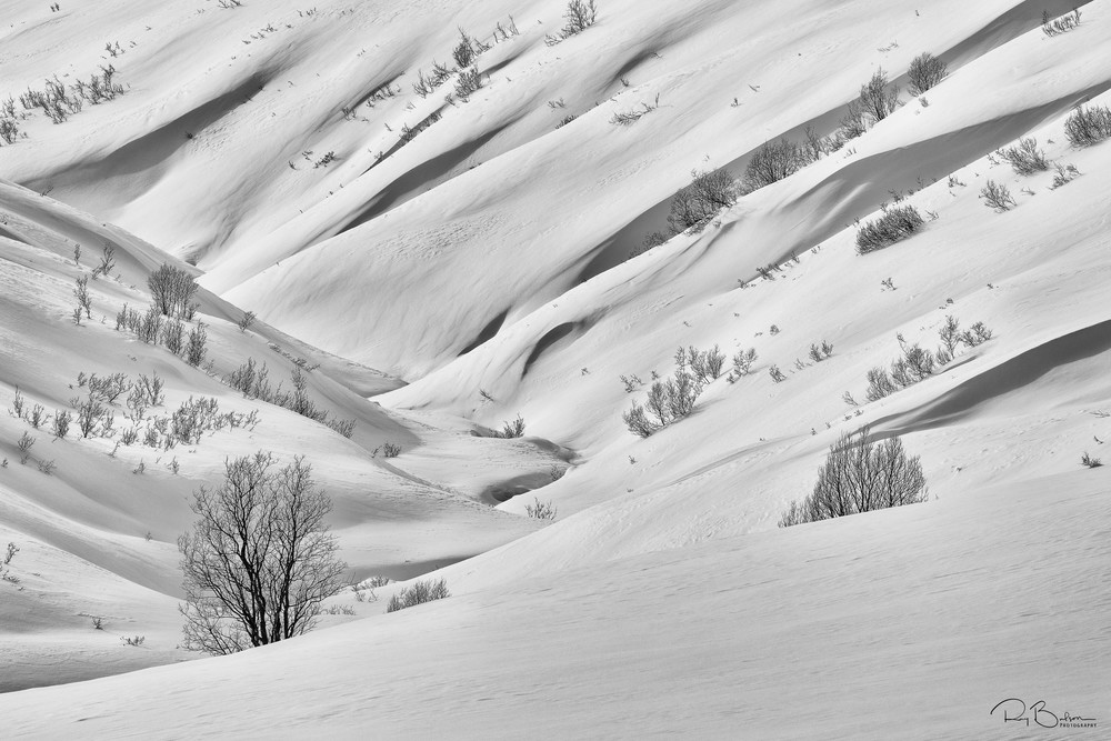 Snow blanketing the Talkeetna Mountains at Hatcher Pass creates flowing shapes in late winter in Southcentral Alaska. Afternoon.