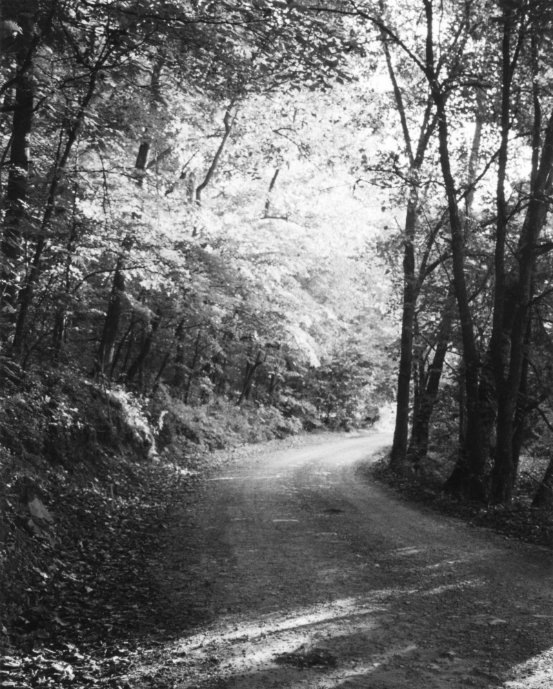 The Road Taken