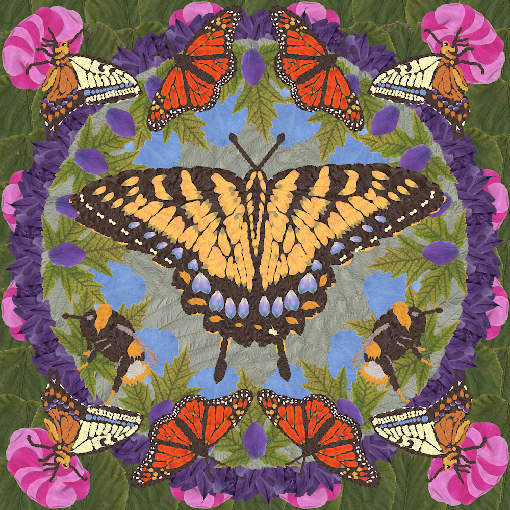 Butterflies And Bees Art | smacartist
