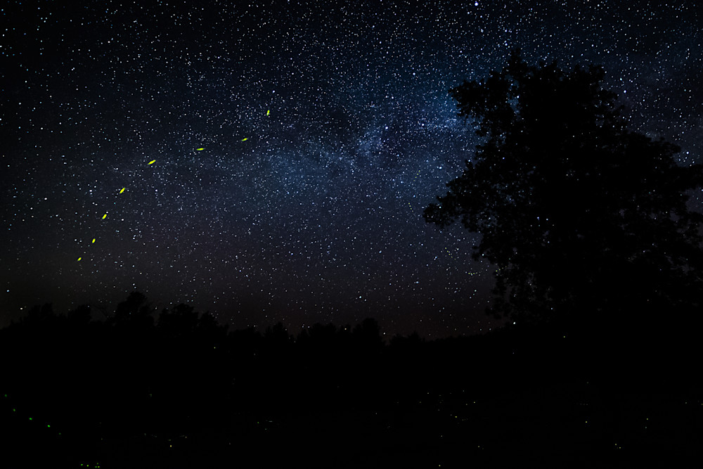 Night Photography of Stars and Fireflies | Nathan Larson Photography