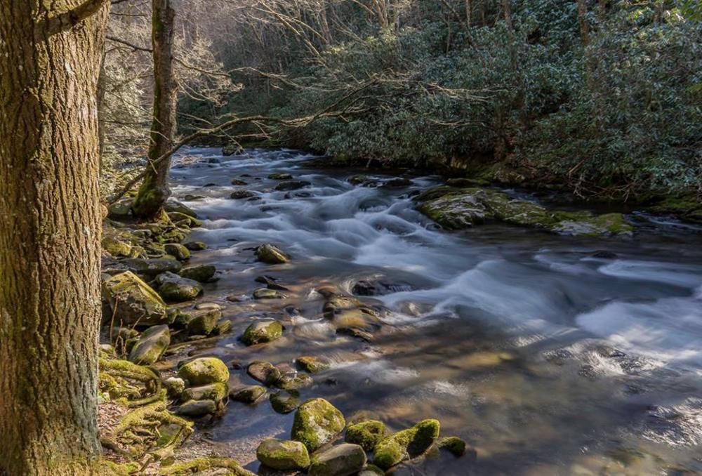 Oconaluftee Creek   Smoky Mountains National Park Art | Drew Campbell Photography