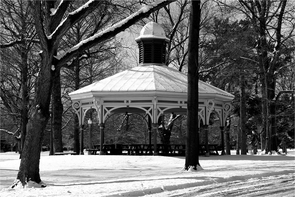 Humboldt South Pavilion In Tower Grove Park Art | Moore Design Group