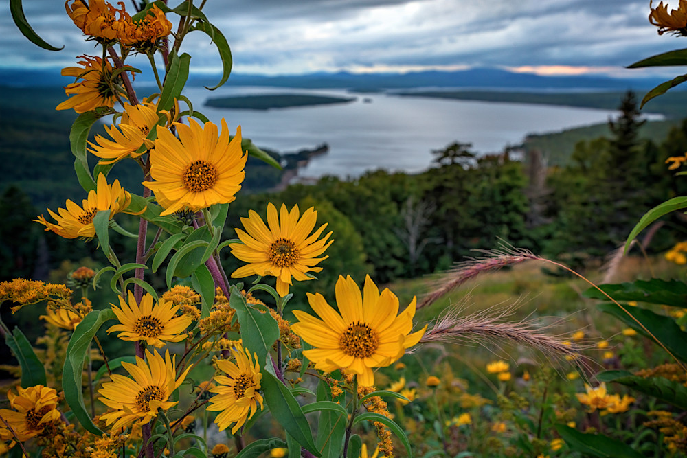 Summer Evening at Height of Land | Shop Photography by Rick Berk Summer Evening at Height of Land | Shop Photography by Rick Berk