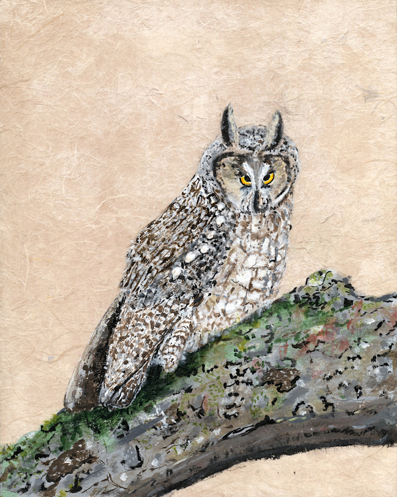 Robyn Kruse - Long Earred Owl