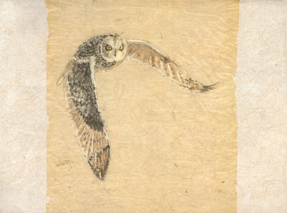 Robyn Kruse - Short Earred Owl at Twilight