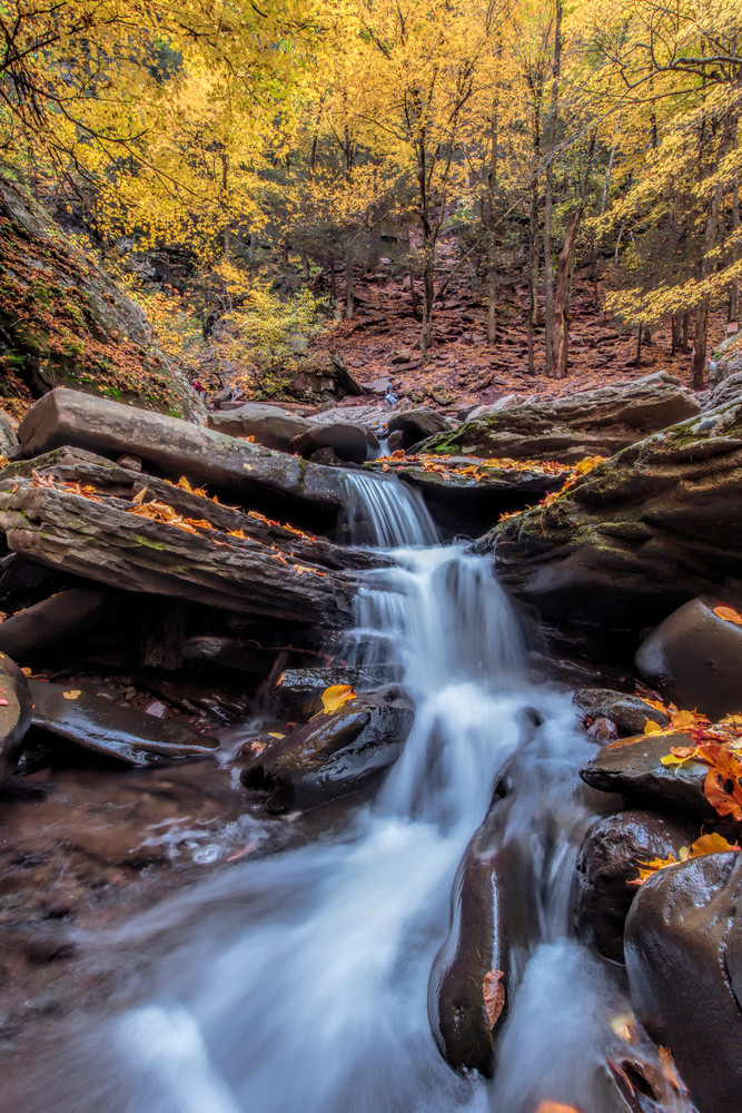 Fall at Kaaterskill Creek | Shop Photography by Rick Berk Fall at Kaaterskill Creek | Shop Photography by Rick Berk