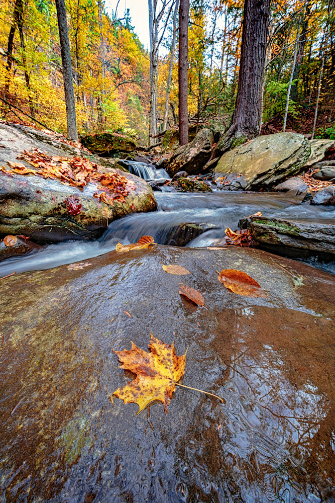 Fallen | Shop Photography by Rick Berk Fallen | Shop Photography by Rick Berk