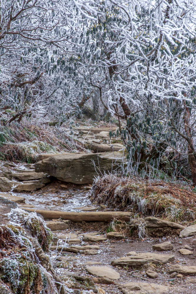 Winter Trail Art | Red Rock Photography