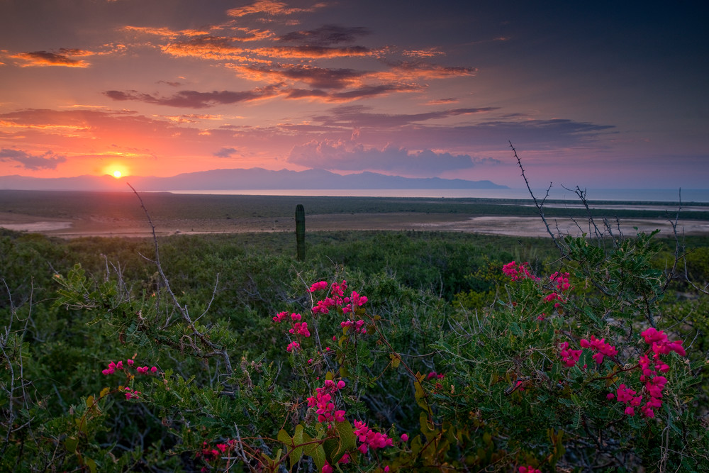 La Ventana Sunset Photography Art | Craig Primas Photography