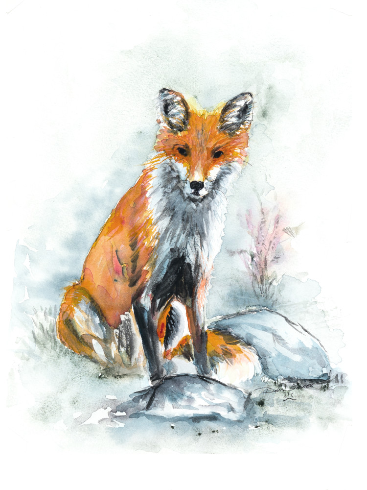 Evening Fox Art | Debra Bruner Studio