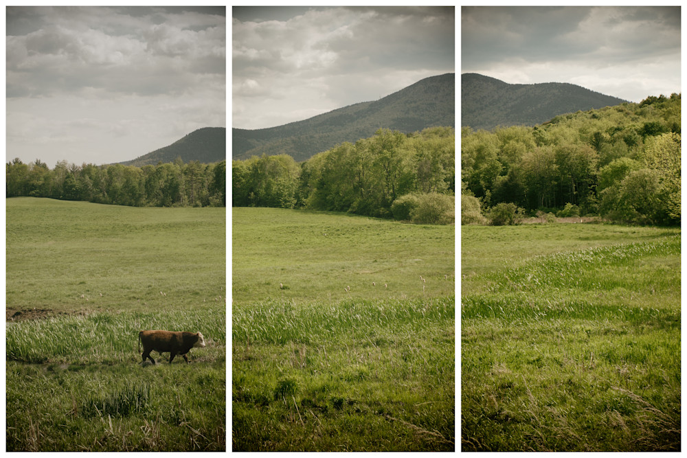 Vermont Farm & Field Photography | Fine Art Triptychs | Multi Panel Art | Nathan Larson Photography. 