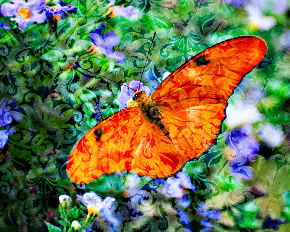 Magical Orange Butterfly