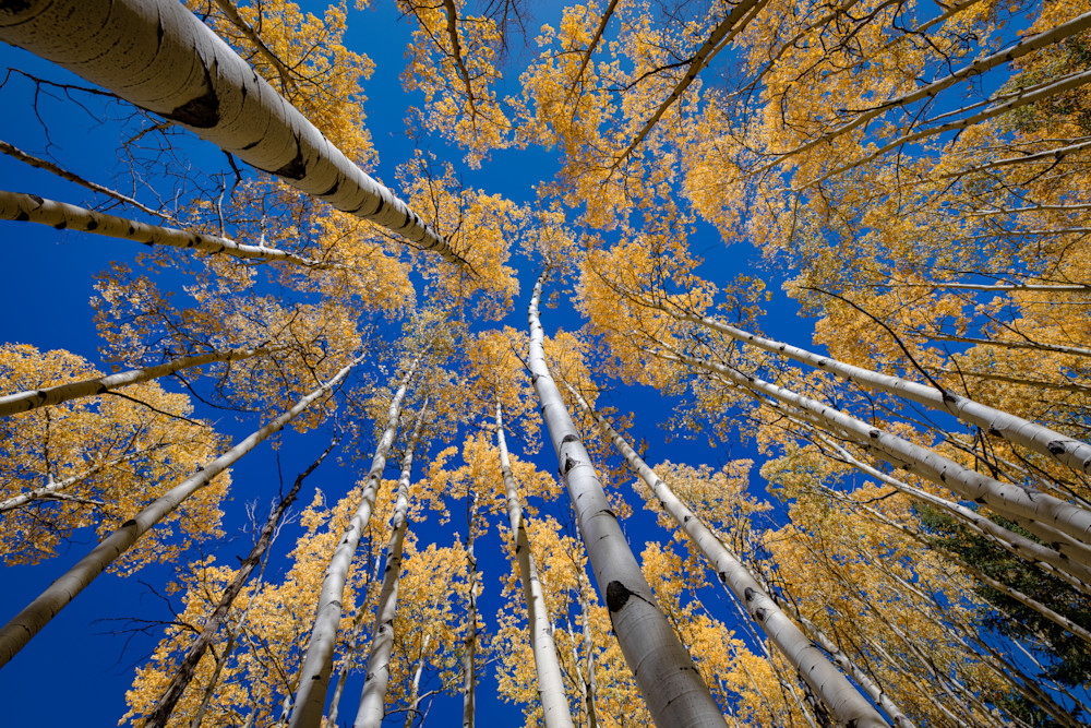 Autumn reach Autumn reach