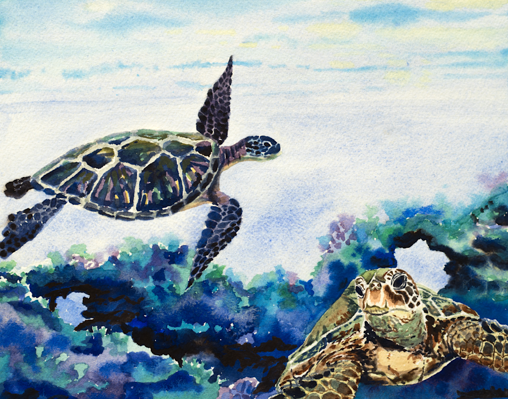 Hawaiian Childrens Canvas & Paint Set Honu Turtle