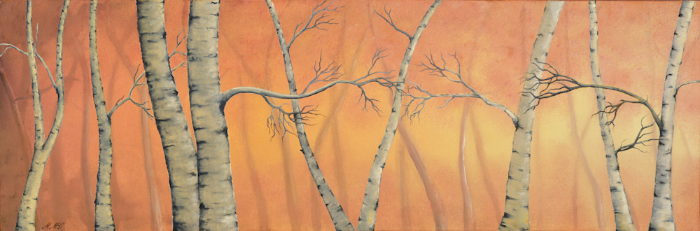 Birch Trees Birch Trees