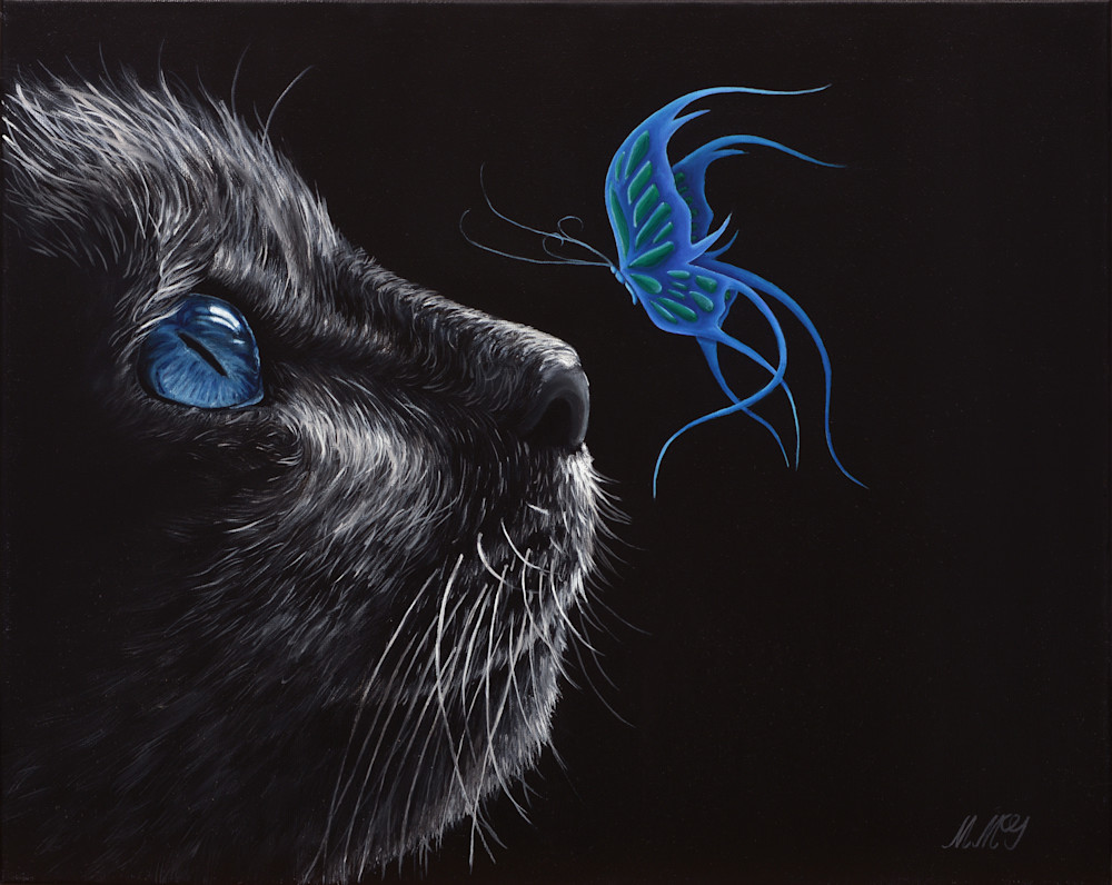 Mystical Cat Mystical Cat