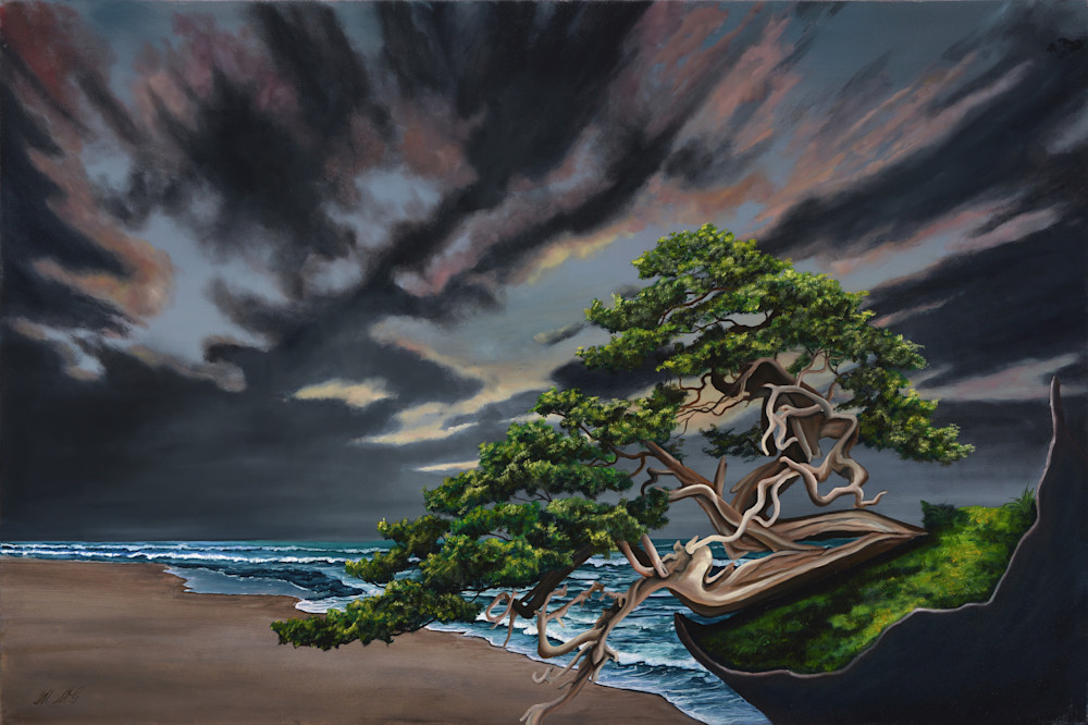 Bonsai On The Beach Art | MMG Art Studio | Fine Art Colorado Gallery