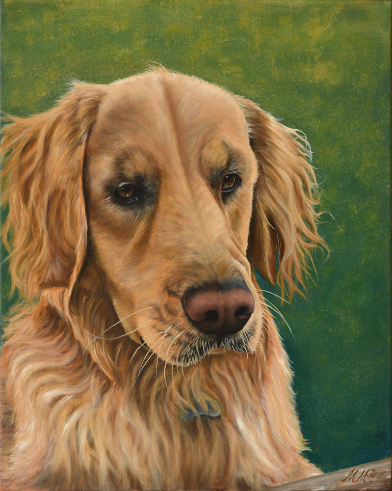 Golden Retriever Art | MMG Art Studio | Fine Art Colorado Gallery Golden Retriever Art | MMG Art Studio | Fine Art Colorado Gallery