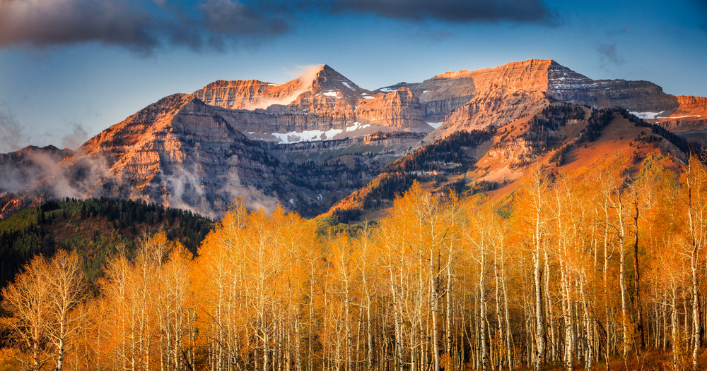 timpanogos rust