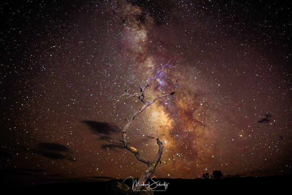 Lineage Tree To The Milky Way Art | dynamicearthphotos