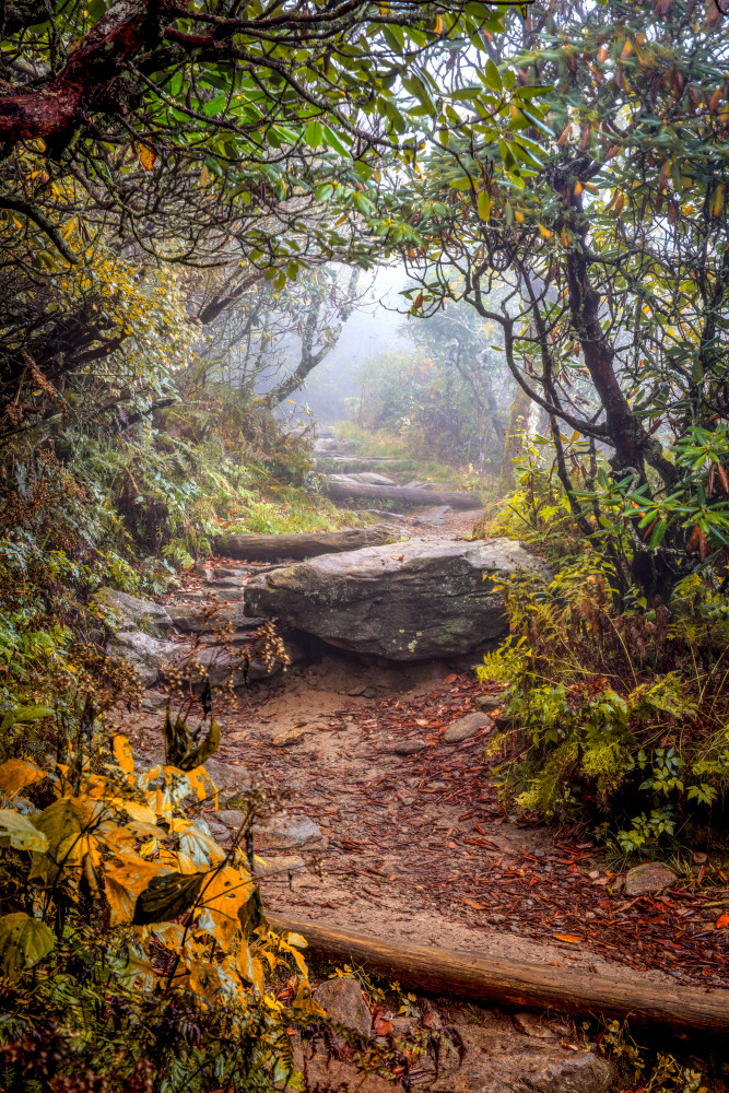 Autumn Trail Art | Red Rock Photography