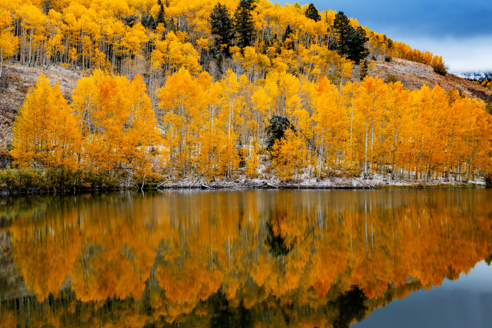 Pond Reflection Photography Art | Gale Ensign Photography