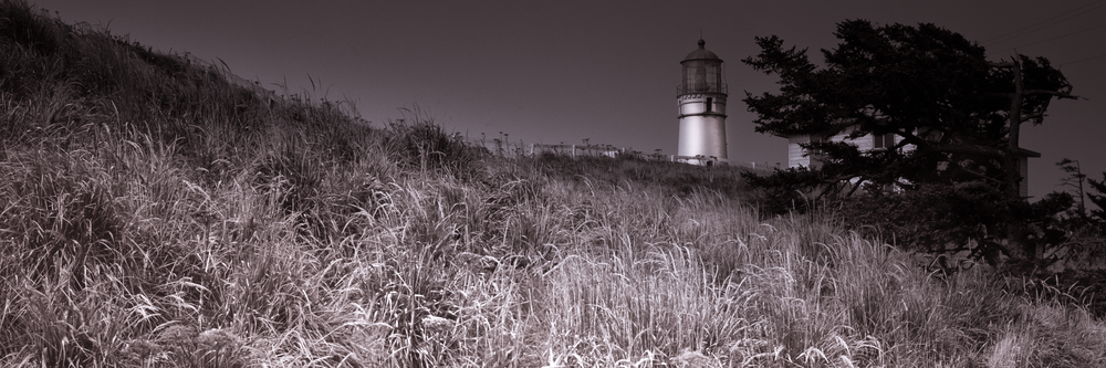 Print of Cape Blanco Lighthouse Over Sea of Grass